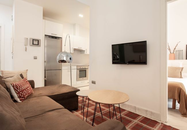 Apartamento en Madrid - Apartamento Echegaray I en Madrid  Apartamento en Madrid - Apartamento Echegaray I en Madrid