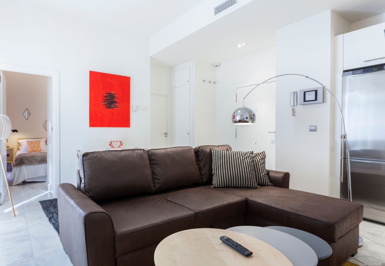 Apartamento en Madrid - MIT House Echegaray I en Madrid 