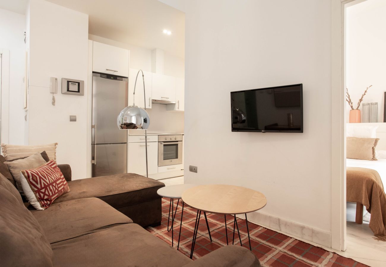 Apartamento en Madrid - Apartamento Echegaray I en Madrid 