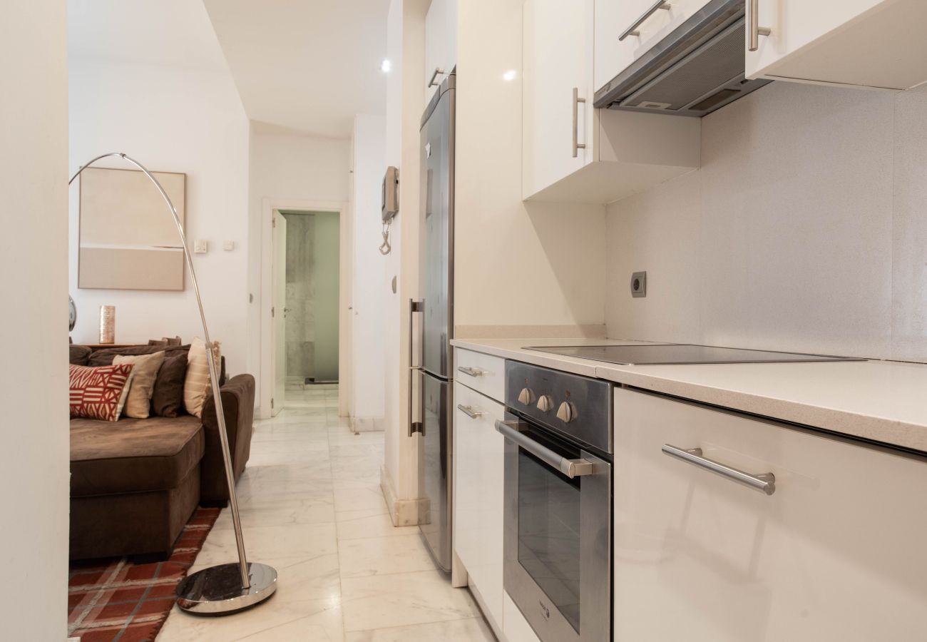Apartamento en Madrid - Apartamento Echegaray I en Madrid 