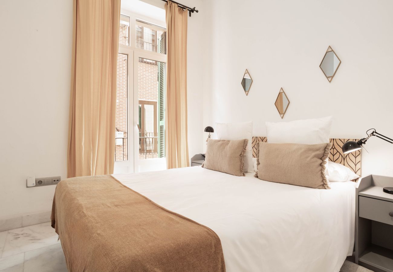 Apartamento en Madrid - Apartamento Echegaray I en Madrid 