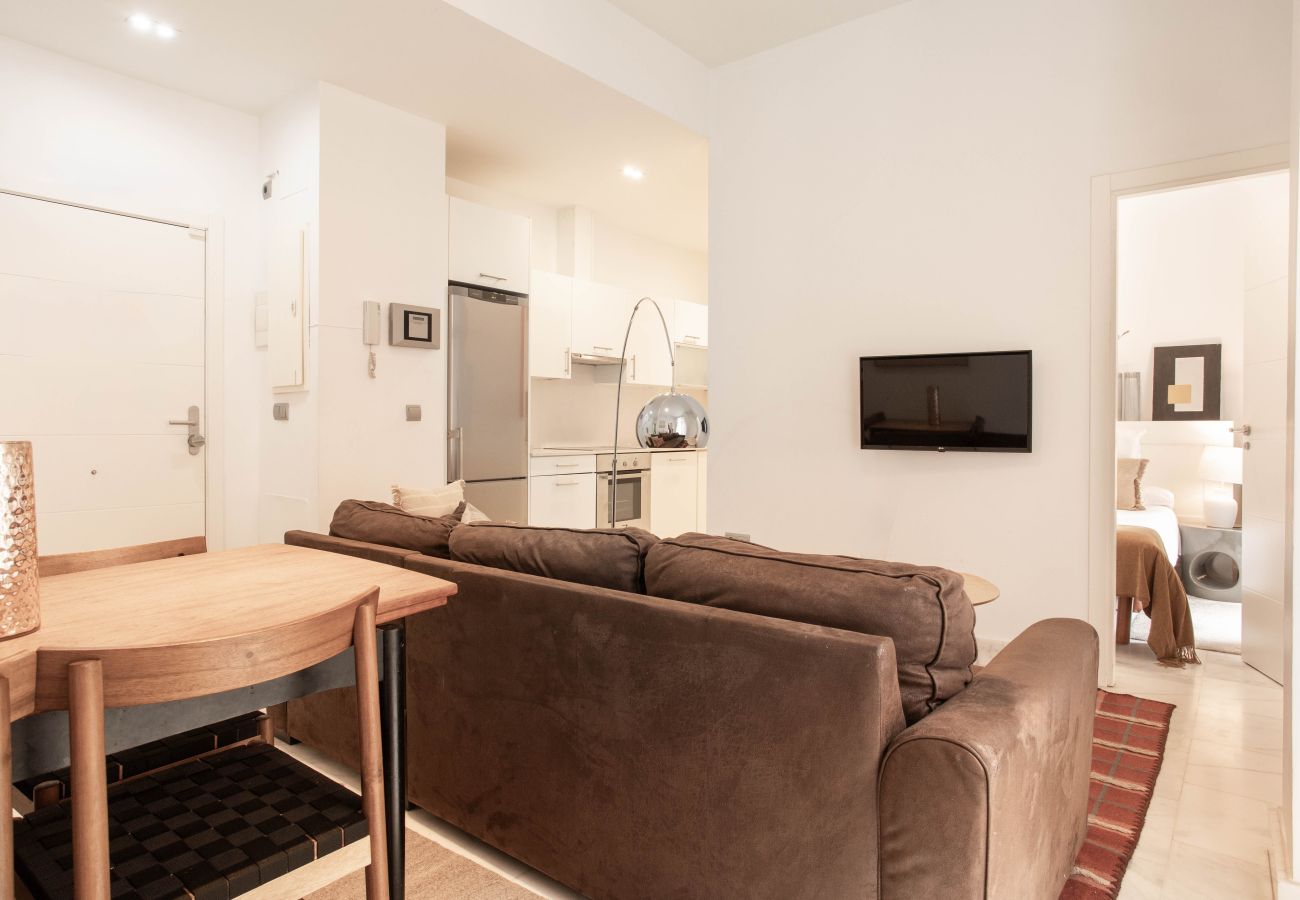 Apartamento en Madrid - Apartamento Echegaray I en Madrid 
