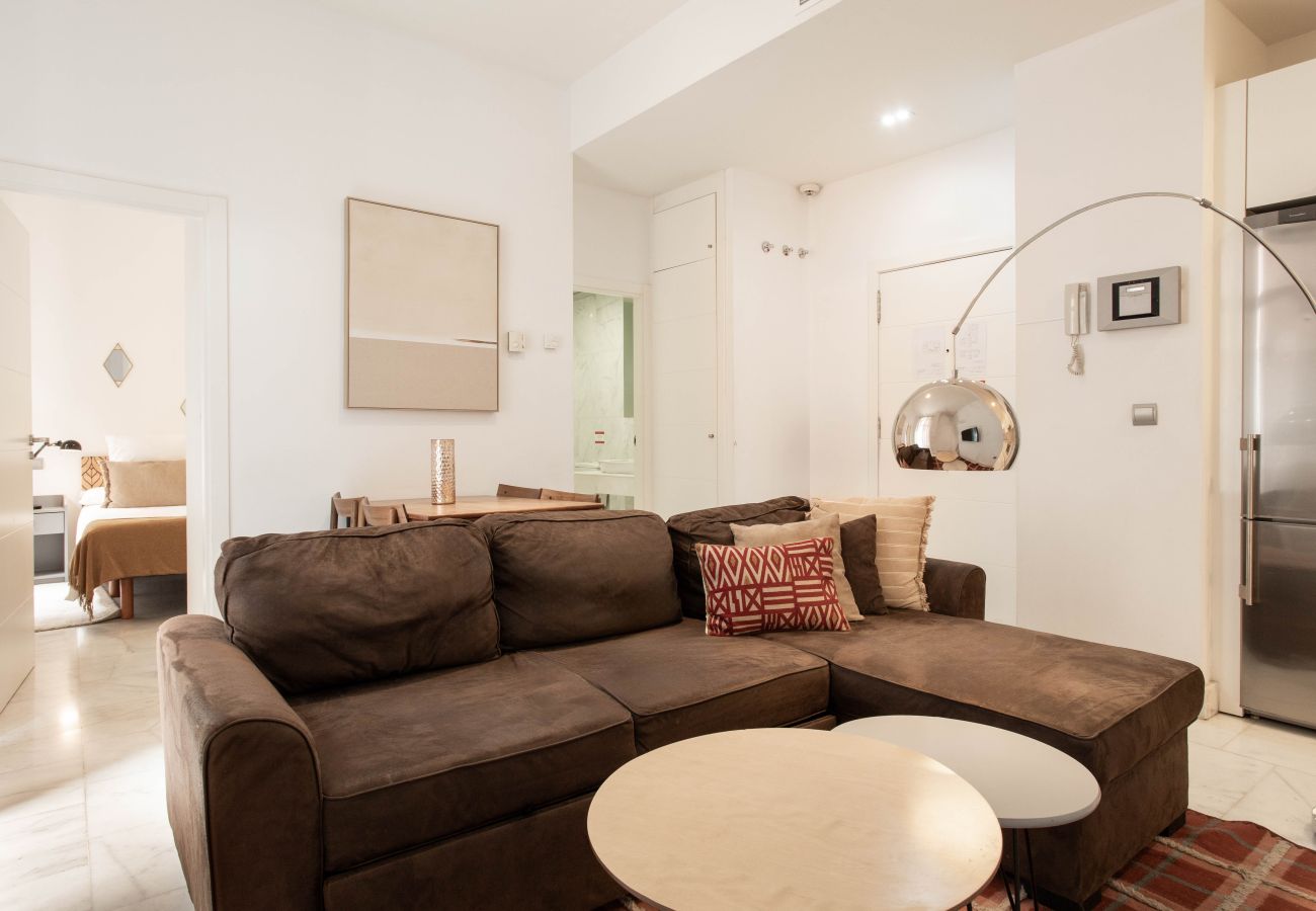 Apartamento en Madrid - Apartamento Echegaray I en Madrid 