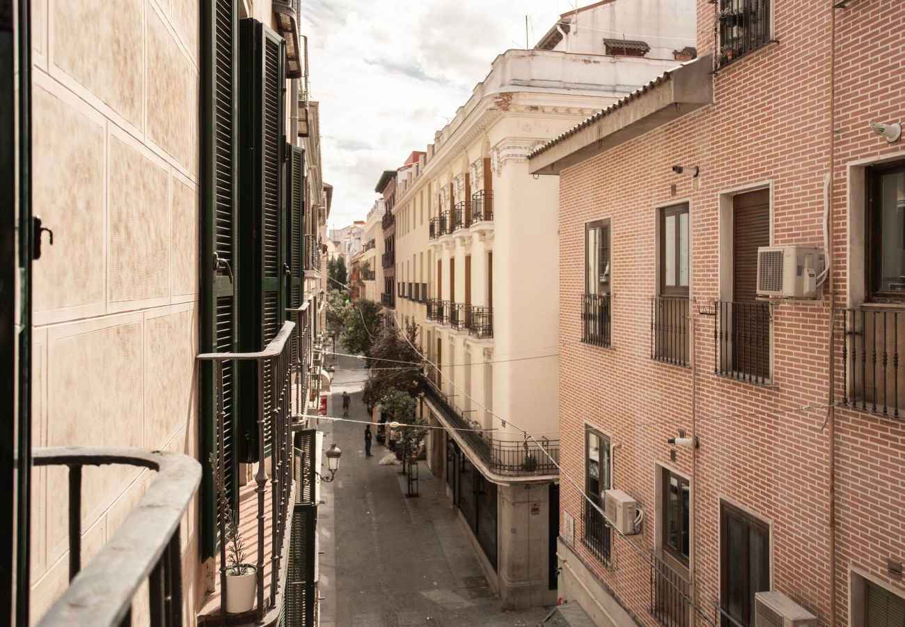 Apartamento en Madrid - Apartamento Echegaray I en Madrid 
