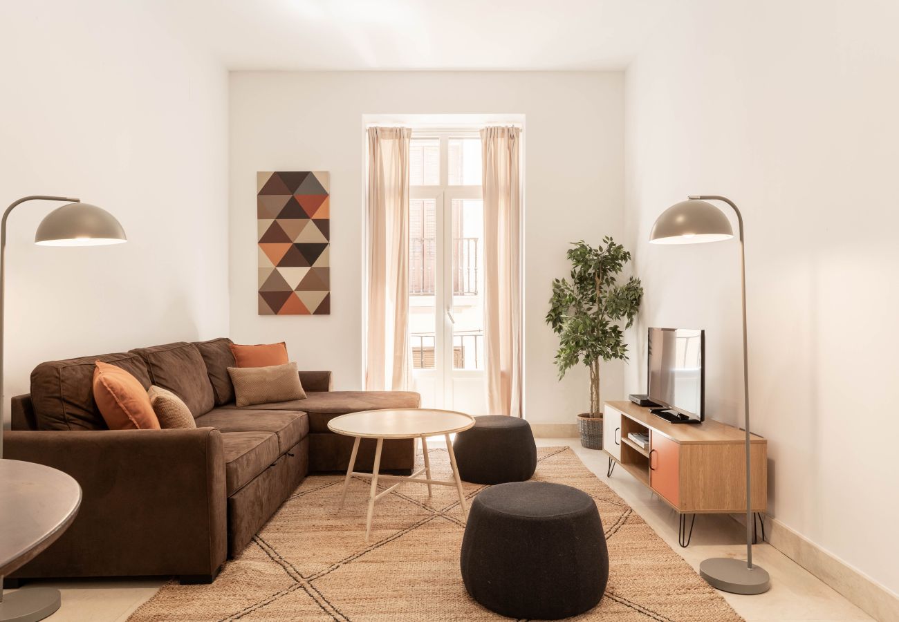 Apartamento en Madrid - Apartamento Echegaray II en Madrid 