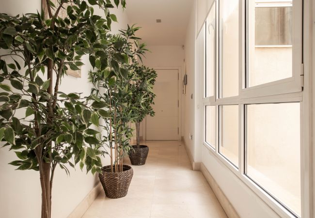 Apartamento en Madrid - Apartamento Echegaray V en Madrid  Apartamento en Madrid - Apartamento Echegaray V en Madrid