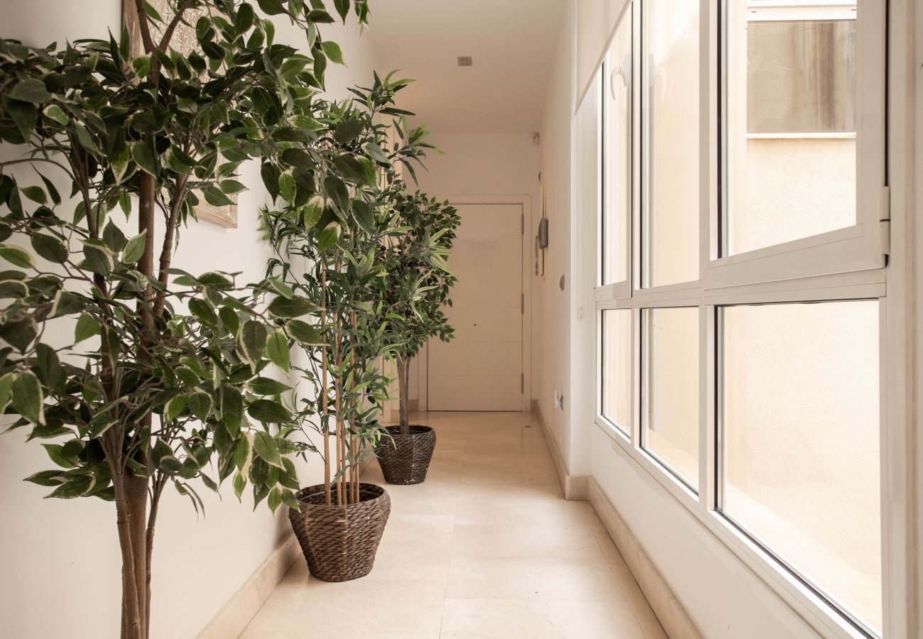 Apartamento en Madrid - Apartamento Echegaray V en Madrid 