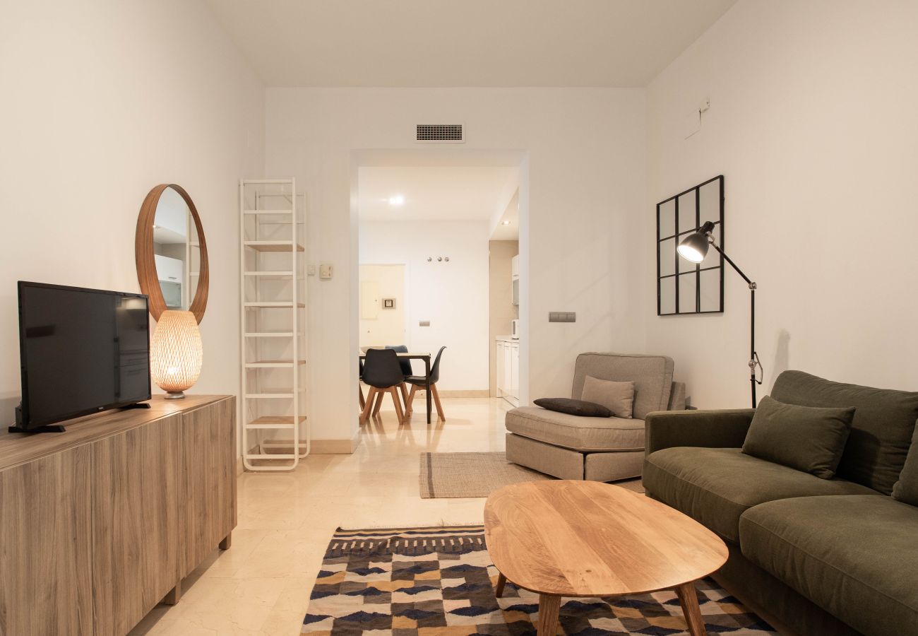 Apartamento en Madrid - Apartamento Echegaray V en Madrid 