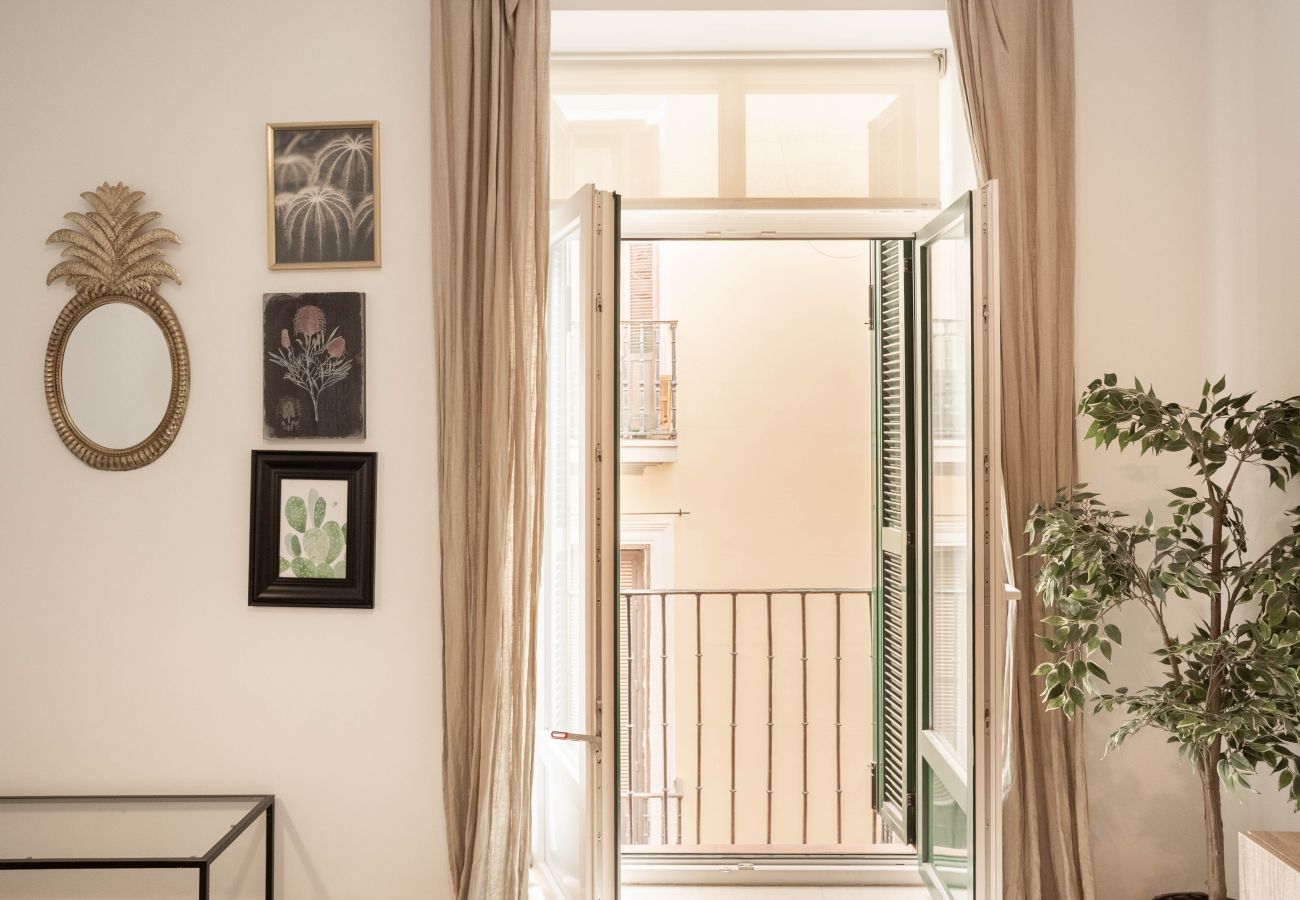 Apartamento en Madrid - Apartamento Echegaray V en Madrid 