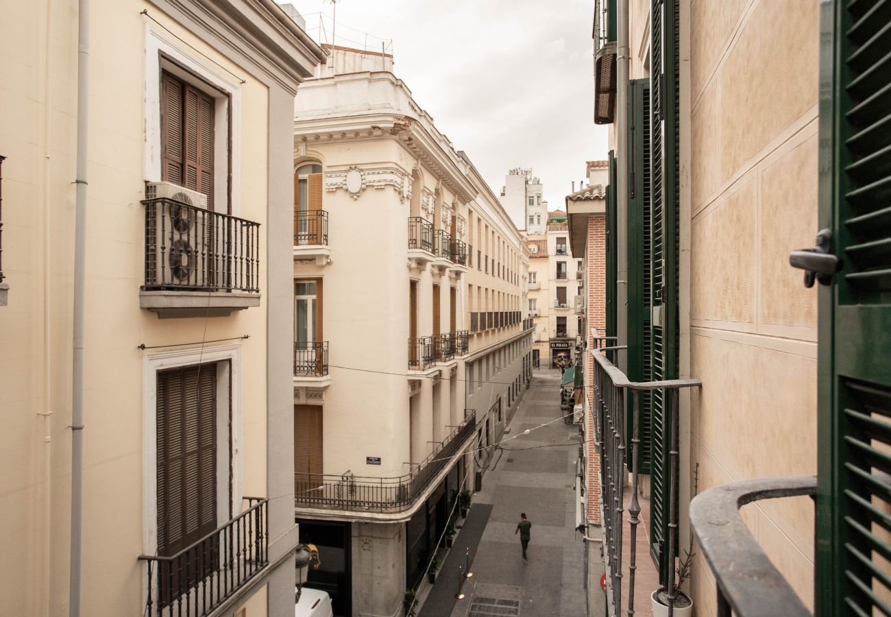 Apartamento en Madrid - Apartamento Echegaray V en Madrid 