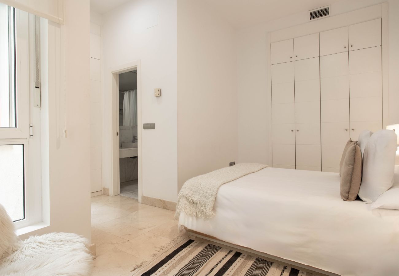 Apartamento en Madrid - Apartamento Echegaray V en Madrid 