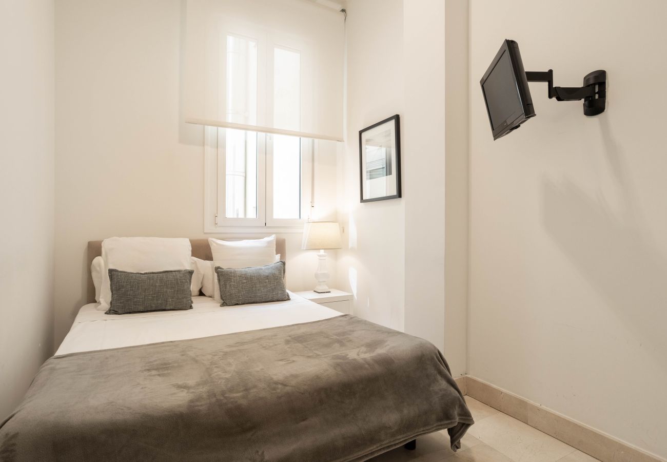 Apartamento en Madrid - Apartamento Echegaray III en Madrid 