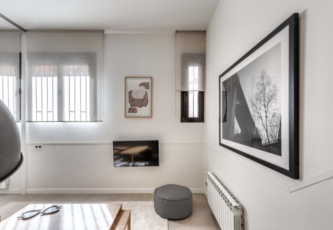 Apartamento en Madrid - Apartamento Apolo Loft en Madrid  Apartamento en Madrid - Apartamento Apolo Loft en Madrid