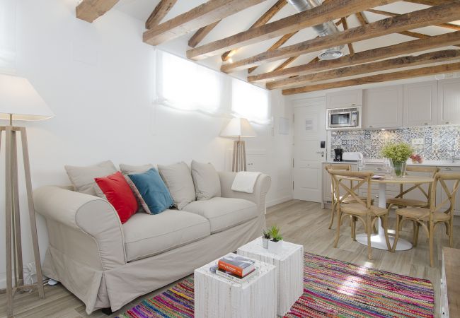 Estudio en Madrid - Apartamento NoMad Rastro Attic en Madrid  Estudio en Madrid - Apartamento NoMad Rastro Attic en Madrid