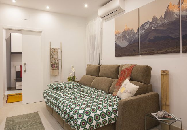 Apartamento en Madrid - Apartamento Salamanca Confort II en Madrid  Apartamento en Madrid - Apartamento Salamanca Confort II en Madrid