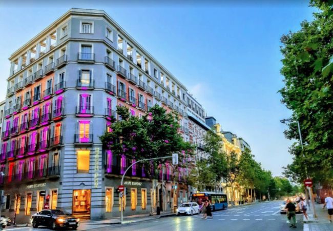 Apartamento en Madrid - Apartamento Salamanca Confort II en Madrid  Apartamento en Madrid - Apartamento Salamanca Confort II en Madrid
