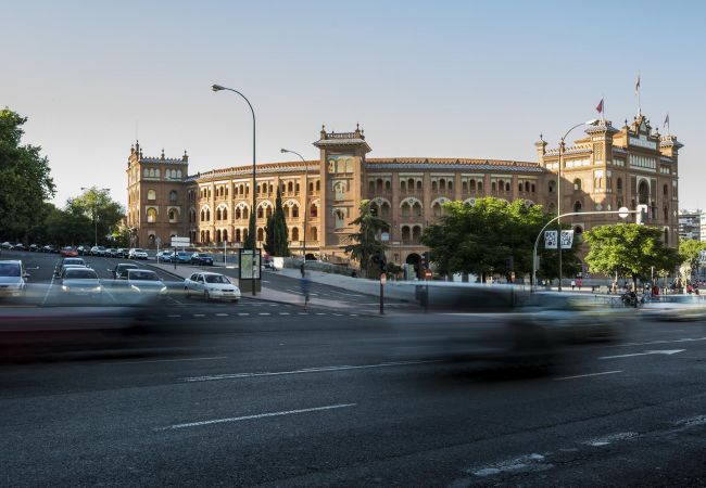 Apartamento en Madrid - Apartamento Salamanca Confort XIV en Madrid  Apartamento en Madrid - Apartamento Salamanca Confort XIV en Madrid
