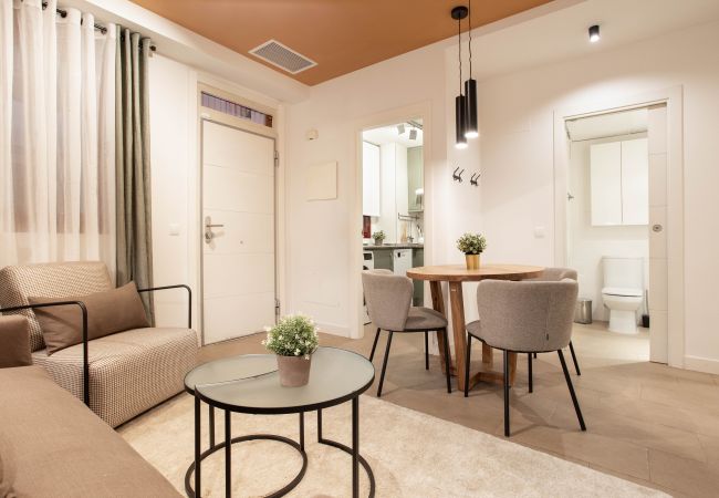 Apartamento en Madrid - Apartamento Salamanca V en Madrid  Apartamento en Madrid - Apartamento Salamanca V en Madrid