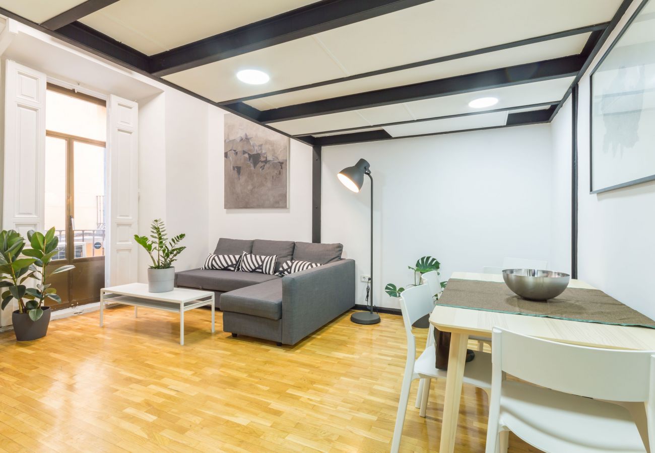 Apartamento en Madrid - MIT House Tirso Loft en Madrid 
