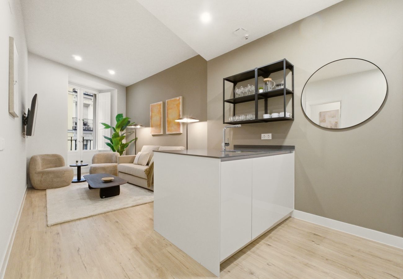 Apartamento en Madrid - Apartamento Teatro I en Madrid 