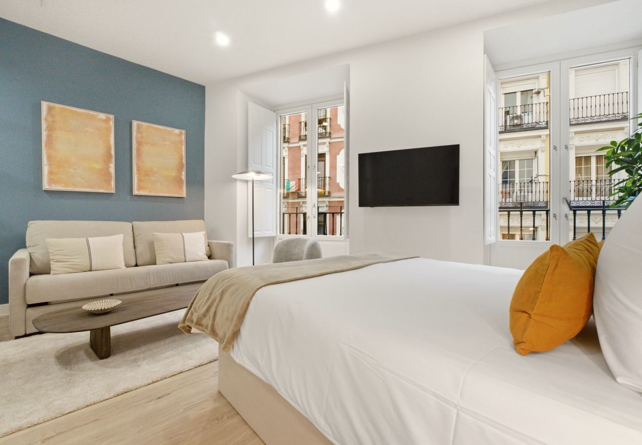Estudio en Madrid - Apartamento Teatro III en Madrid 