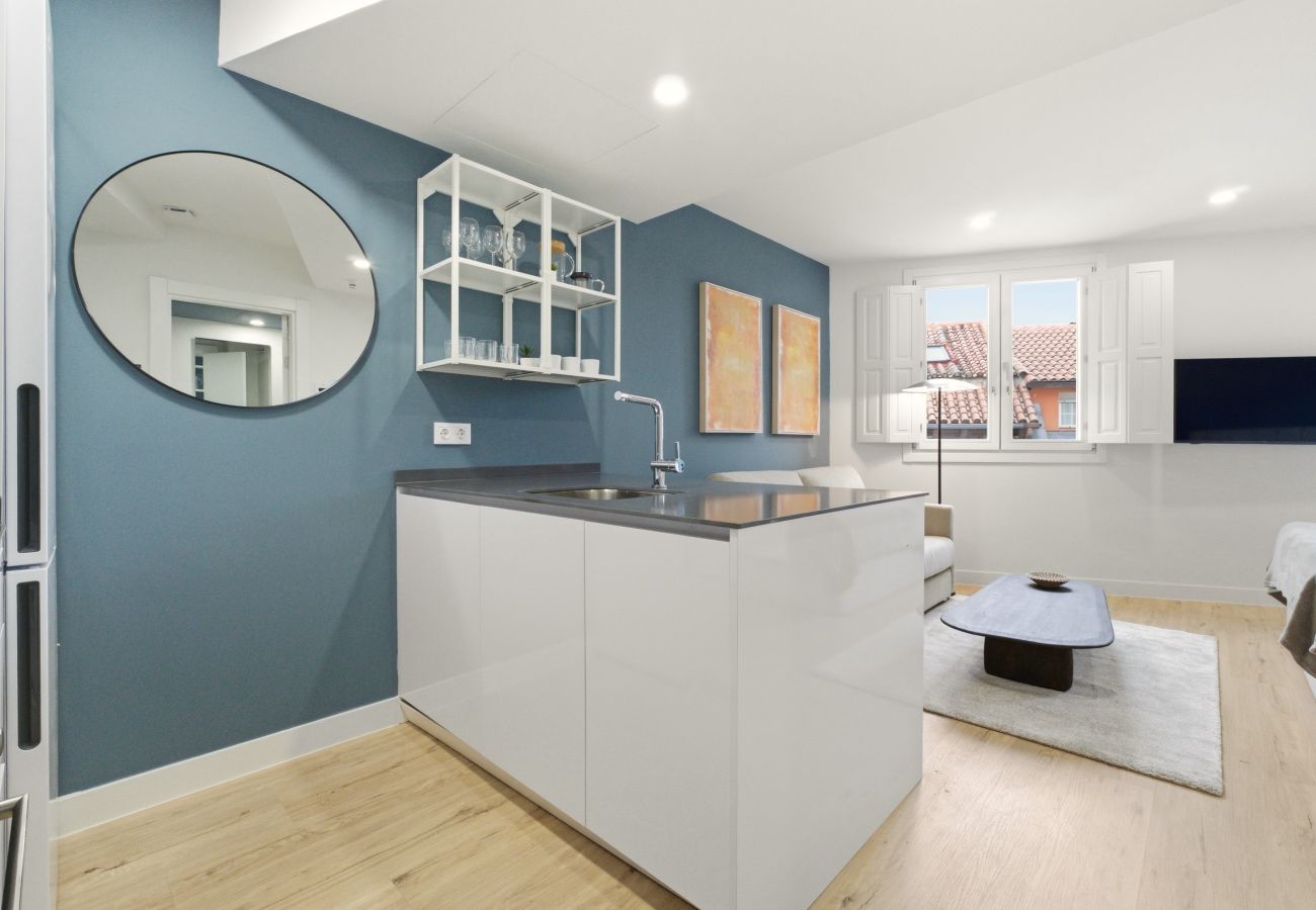Estudio en Madrid - Apartamento Teatro IX en Madrid 