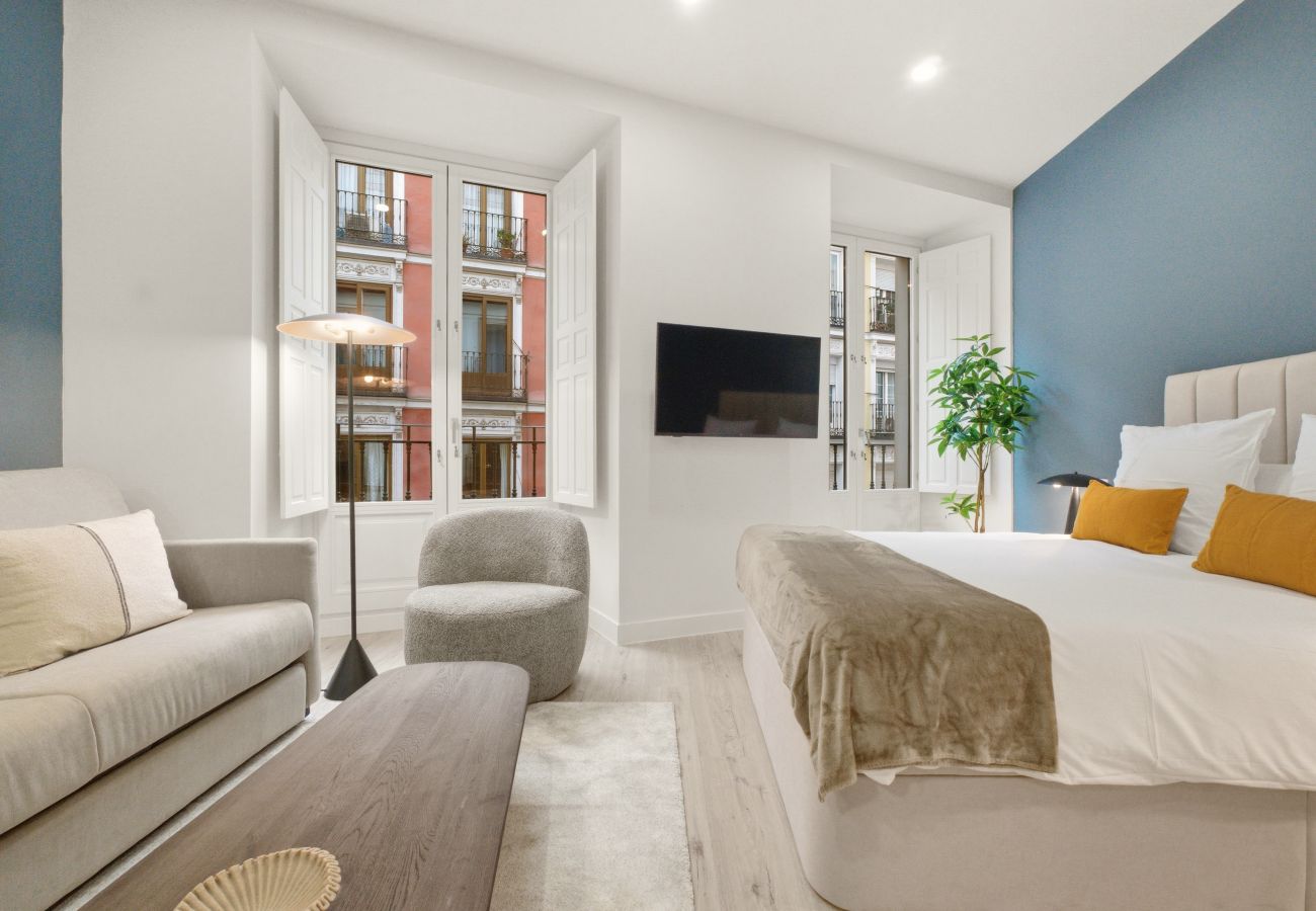 Estudio en Madrid - Apartamento Teatro VI en Madrid 