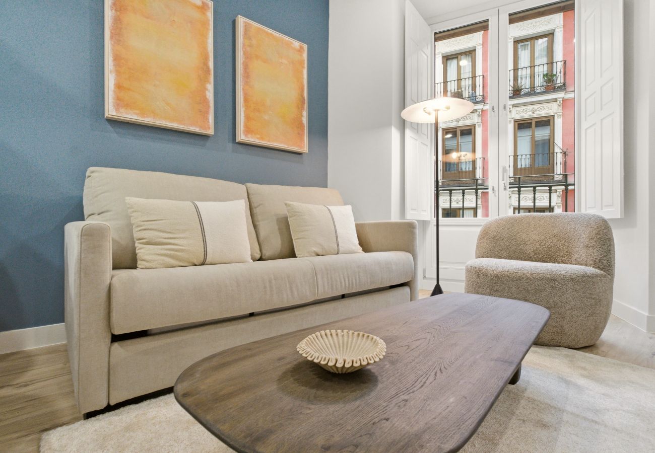 Estudio en Madrid - Apartamento Teatro VI en Madrid 