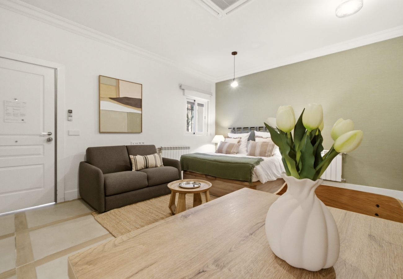 Estudio en Madrid - Apartamento Casa Cortes  II en Madrid 