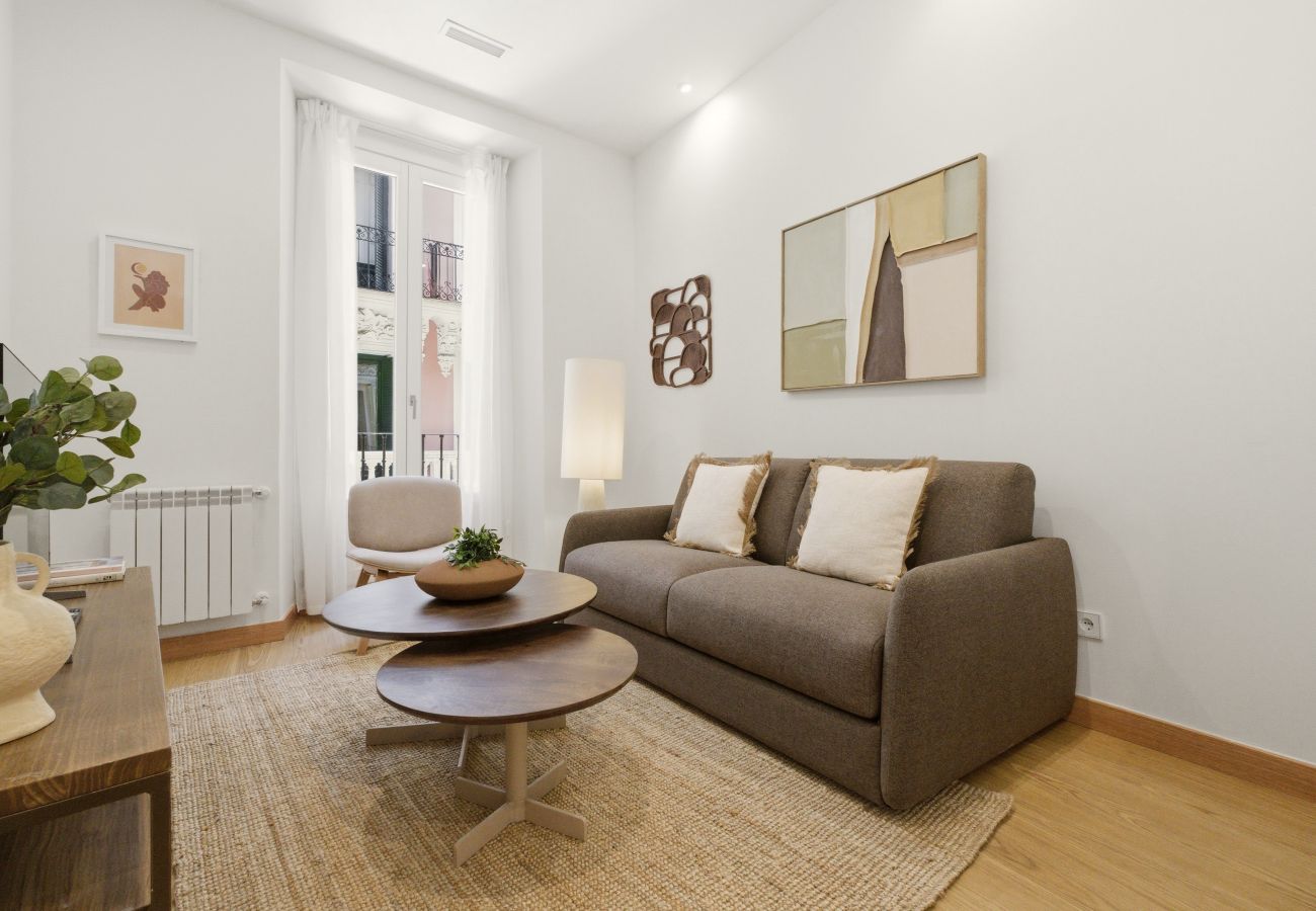 Apartamento en Madrid - Apartamento Casa Cortes IV en Madrid 