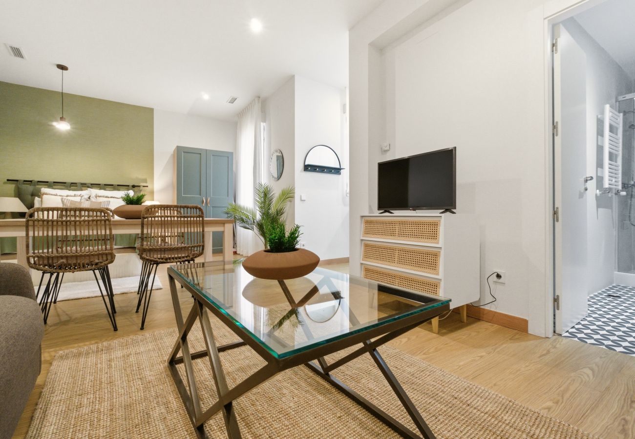 Estudio en Madrid - Apartamento Casa Cortes VI en Madrid