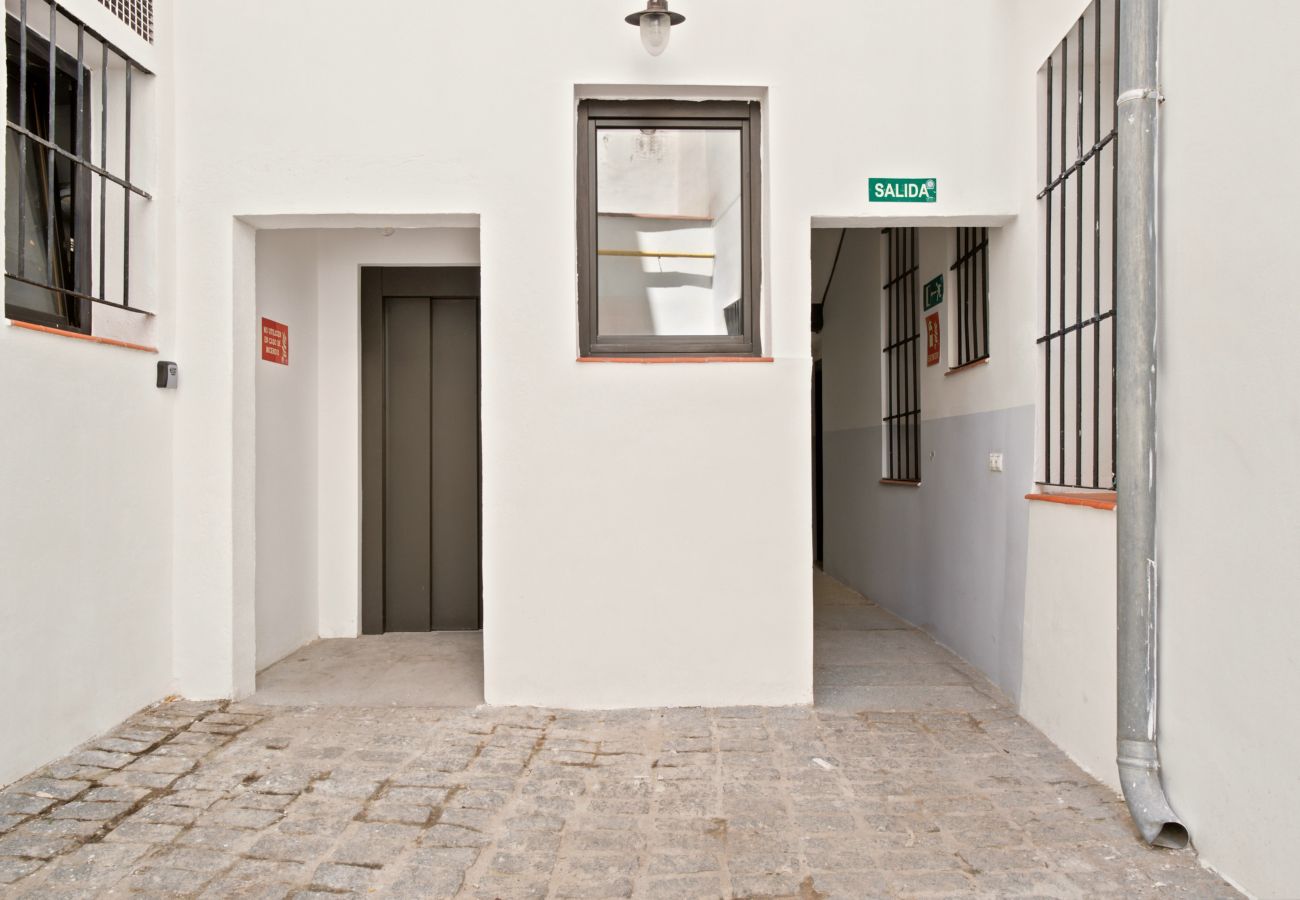 Apartamento en Madrid - Apartamento Basilica VII en Madrid 