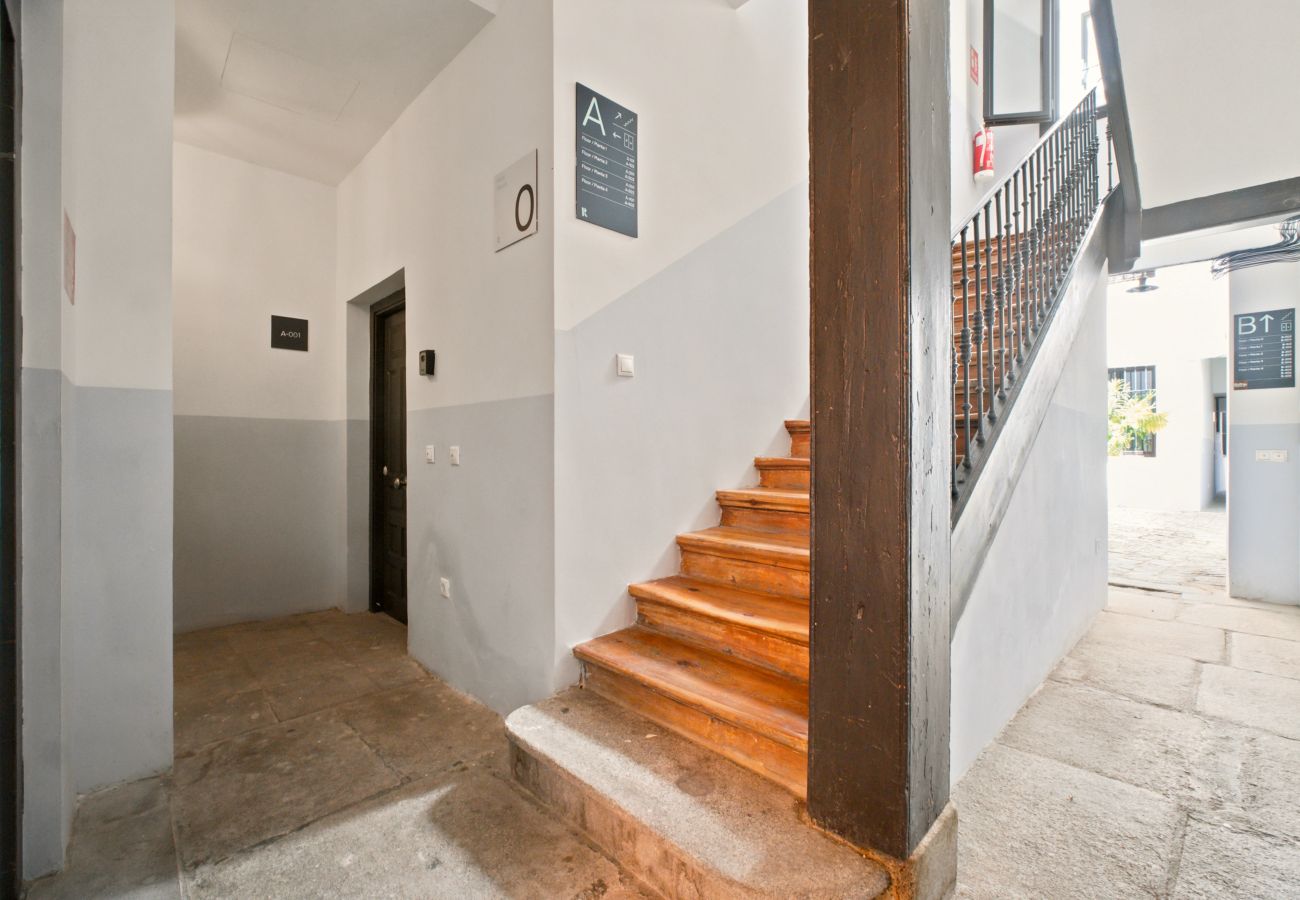 Apartamento en Madrid - Apartamento Basilica VIII en Madrid 