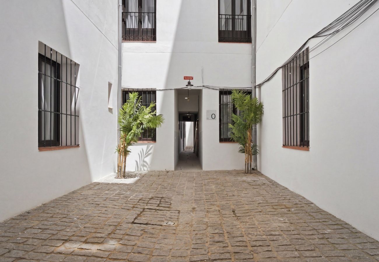 Apartamento en Madrid - Apartamento Basilica XII en Madrid 