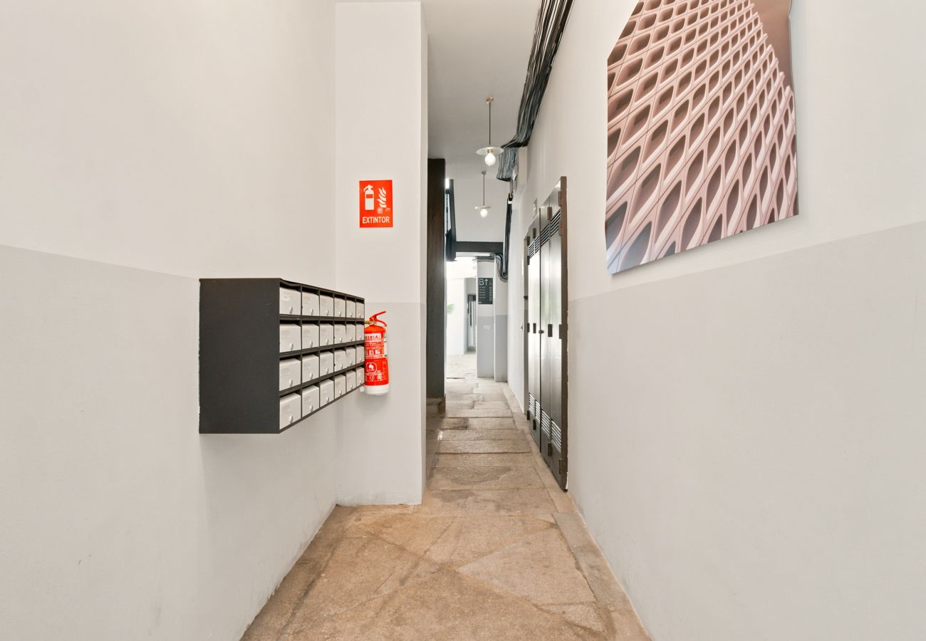 Apartamento en Madrid - Apartamento Basilica XV en Madrid 