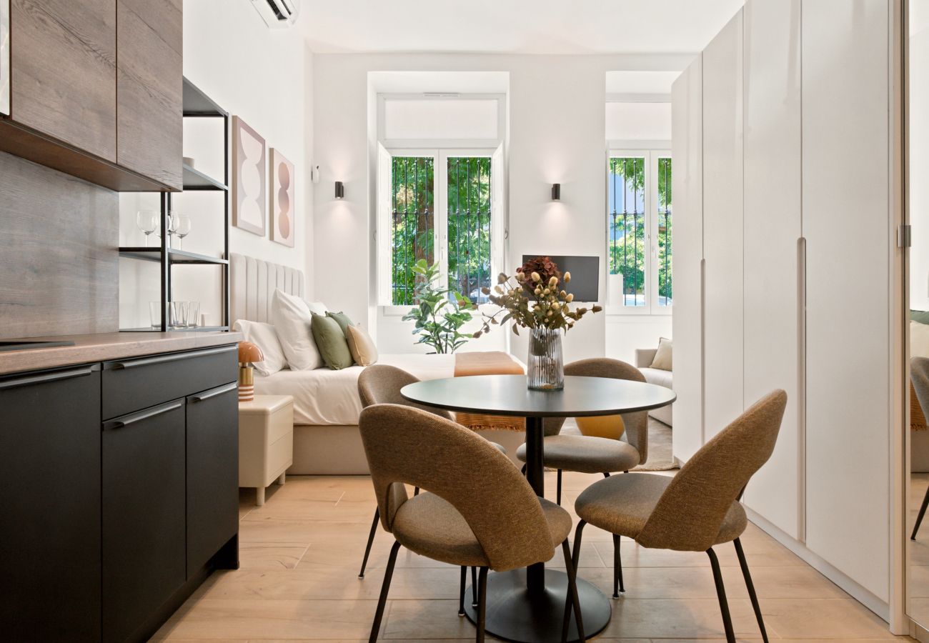 Estudio en Madrid - Apartamento Delicias I en Madrid 