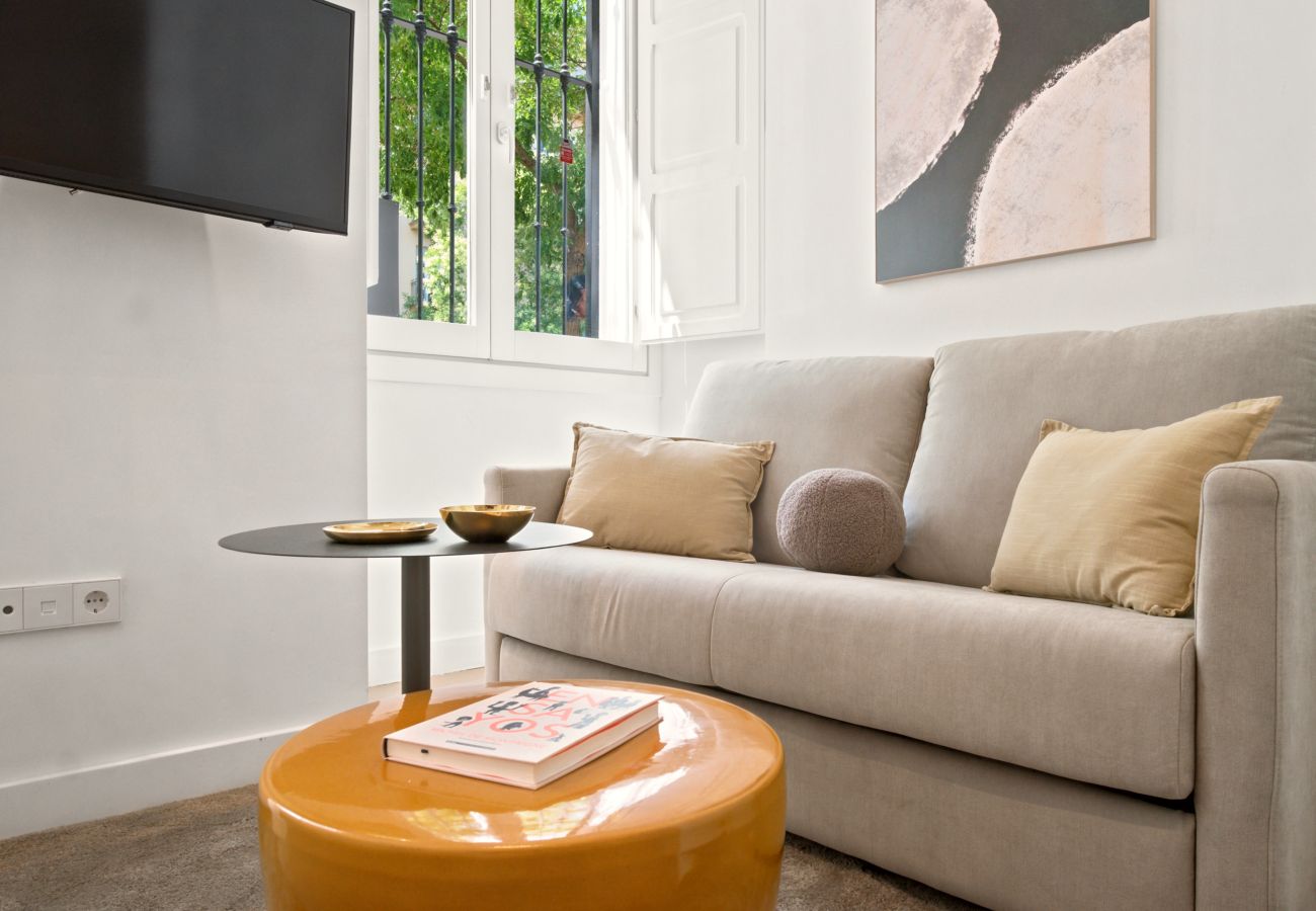 Estudio en Madrid - Apartamento Delicias I en Madrid 