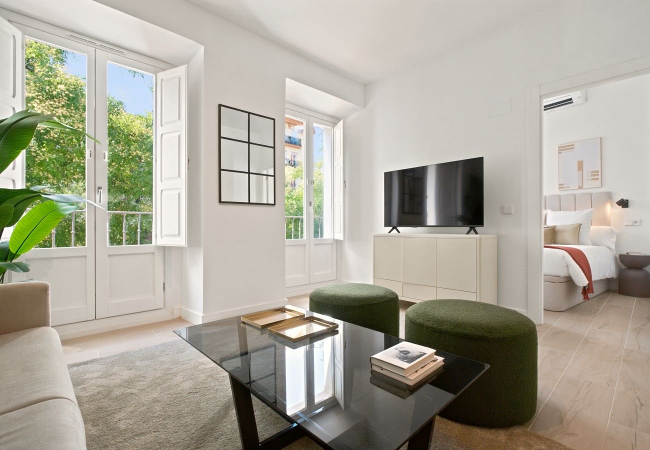 Apartamento en Madrid - Apartamento Delicias II en Madrid 