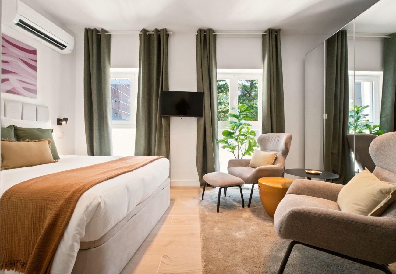 Estudio en Madrid - Apartamento Delicias Luxe III en Madrid 
