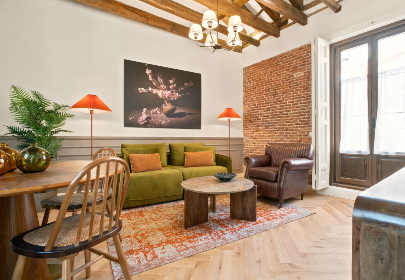 Apartamento en Madrid - Apartamento Travesia Madrid XIV
