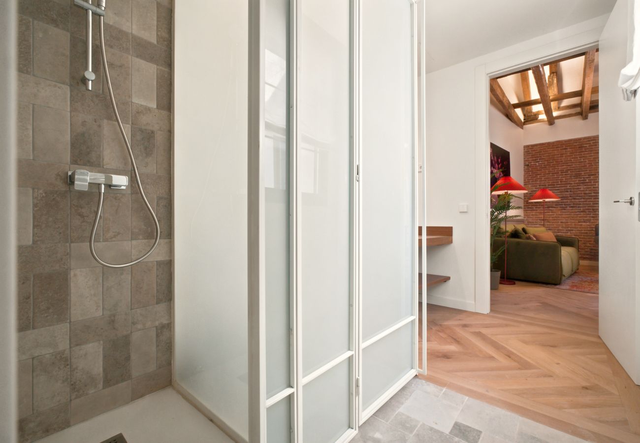Apartamento en Madrid - Apartamento Travesia Madrid XIV