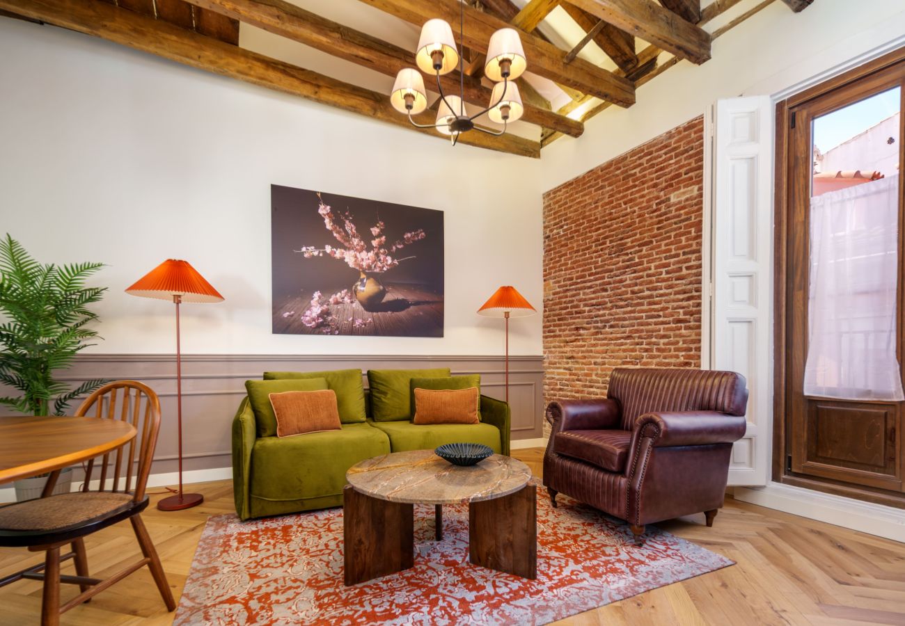 Apartamento en Madrid - Apartamento Travesia Madrid XIV