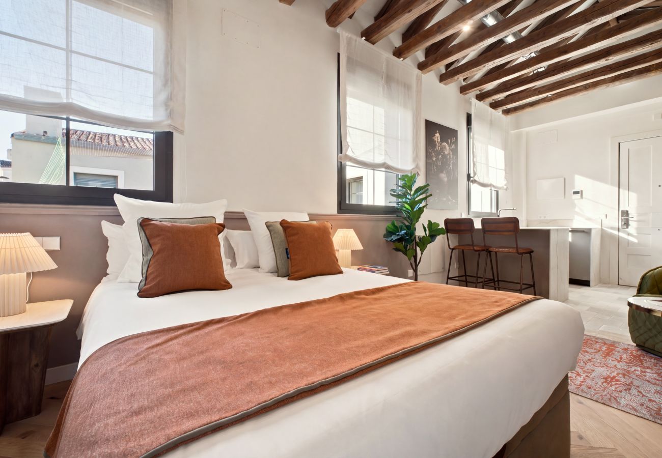 Estudio en Madrid - Apartamento Travesia Madrid XIII