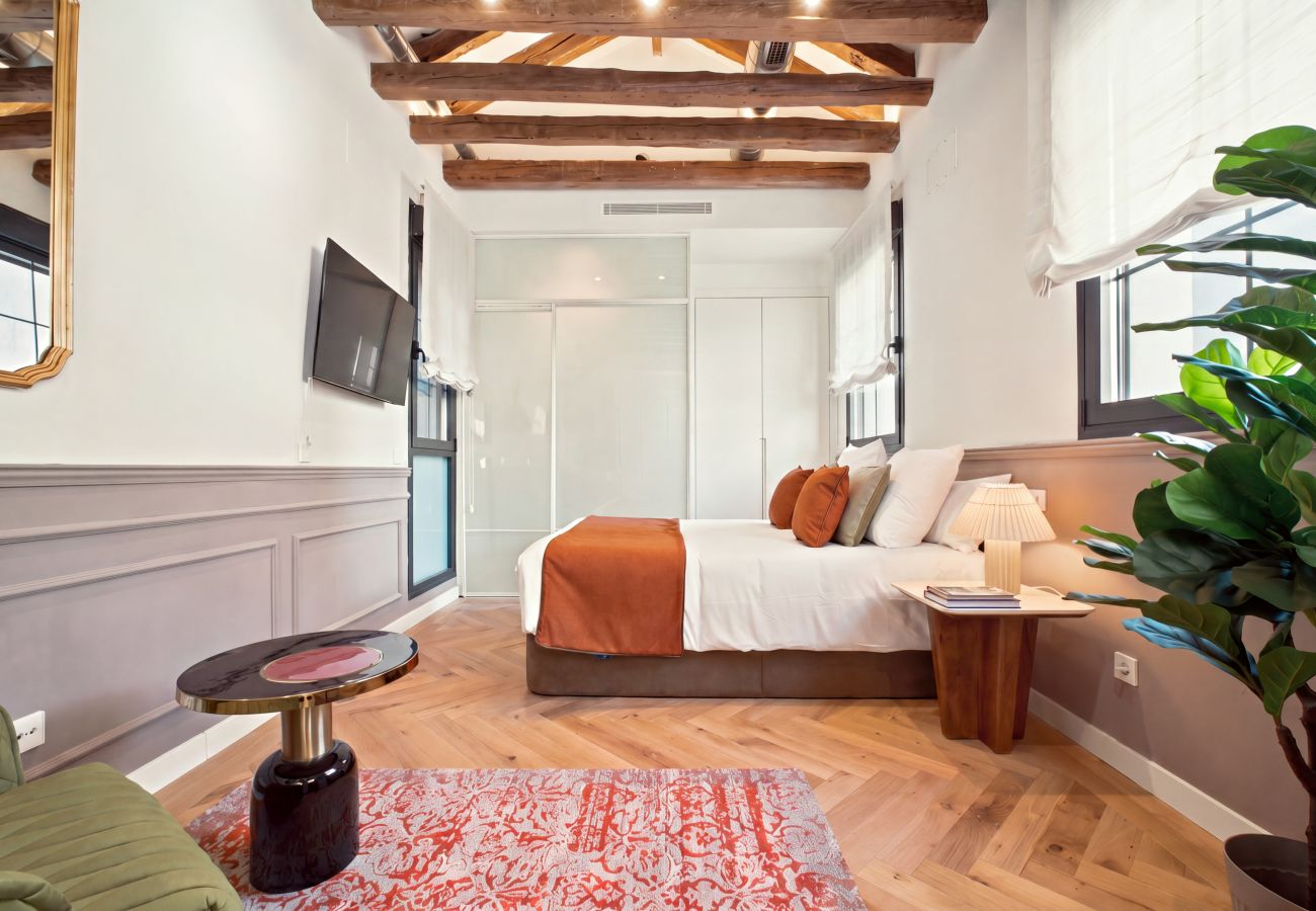 Estudio en Madrid - Apartamento Travesia Madrid XIII