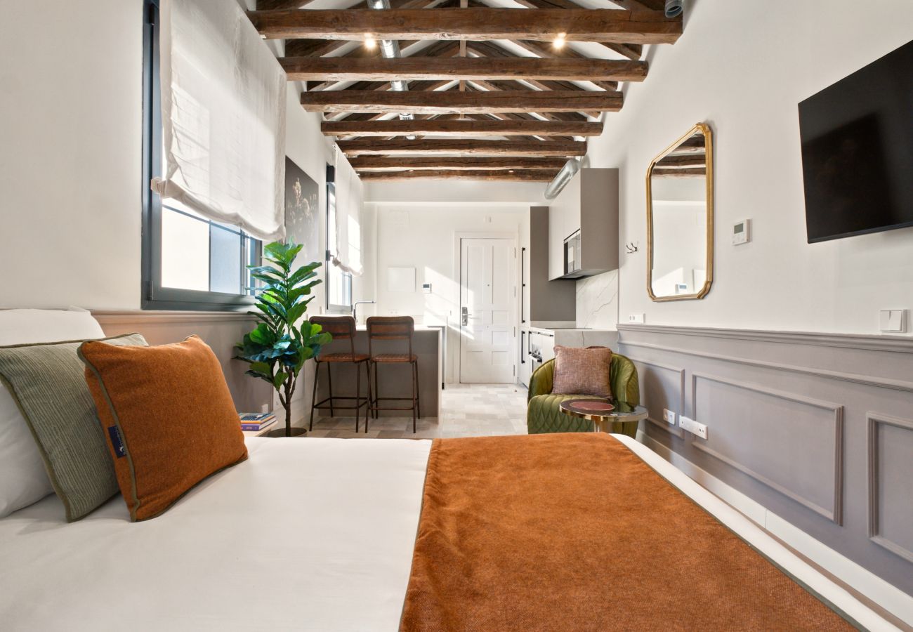 Estudio en Madrid - Apartamento Travesia Madrid XIII