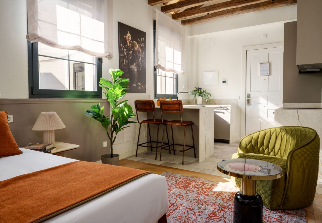 Estudio en Madrid - Apartamento Travesia Madrid XIII