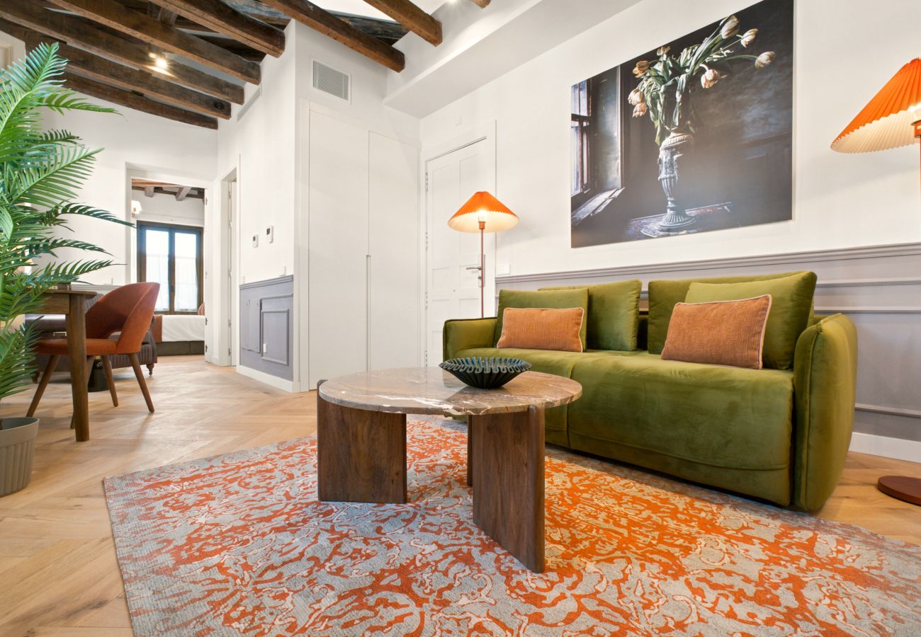 Apartamento en Madrid - Apartamento Travesia Madrid XII
