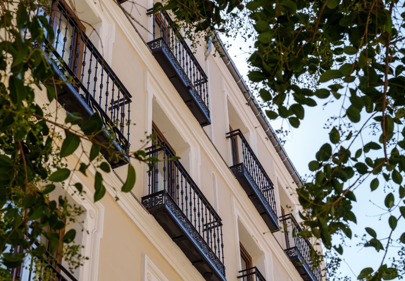Apartamento en Madrid - Apartamento Travesia Madrid XII