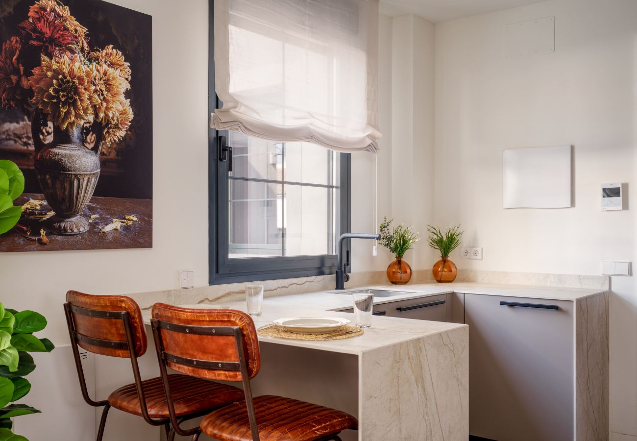 Estudio en Madrid - Apartamento Travesia Madrid III