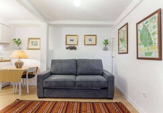 Apartment in Madrid -  Chueca V apartment in Madrid  Apartment in Madrid -  Chueca V apartment in Madrid